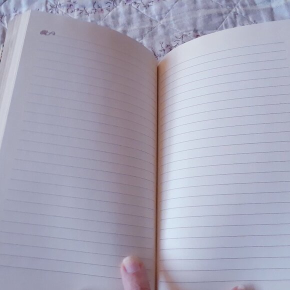 Vintage Personal Diary Sorority 1990's College University Teenagers - Picture 9 of 9